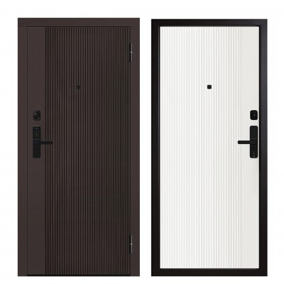 Дверь входная - Металюкс М-S 748/2 Е5