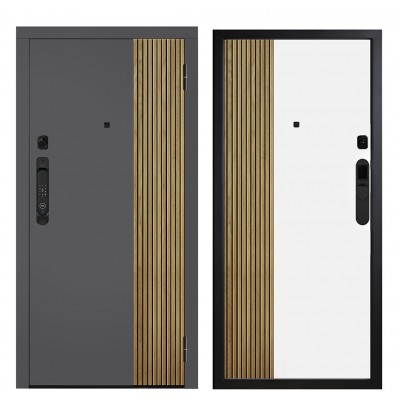 Дверь входная - Металюкс М-SP 649