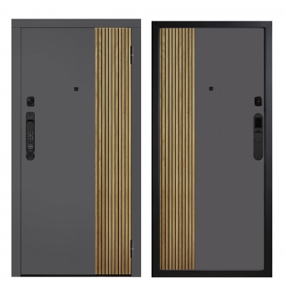 Дверь входная - Металюкс М-SP 649/1