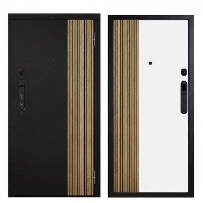 Дверь входная - Металюкс М-SP 649/2