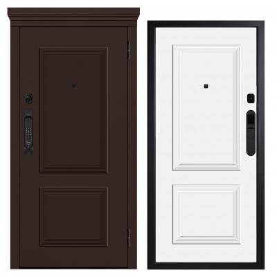 Дверь входная - Металюкс М-SP 666/1 E5