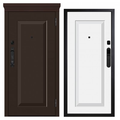 Дверь входная - Металюкс М-SP 668/1 E5