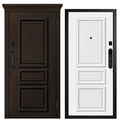 Дверь входная - Металюкс М-SP 669