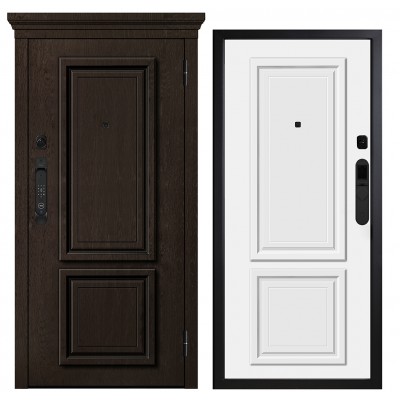 Дверь входная - Металюкс М-SP 670