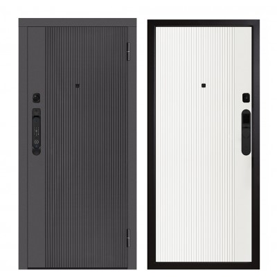 Дверь входная - Металюкс М-SP 748 E5