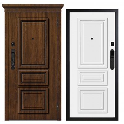 Дверь входная - Металюкс М-SP 786/2